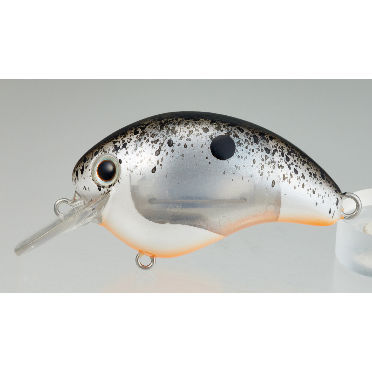 Shimano Bantam World Rush 56F Flash Boost
